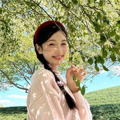 糟糕历史国语第四季